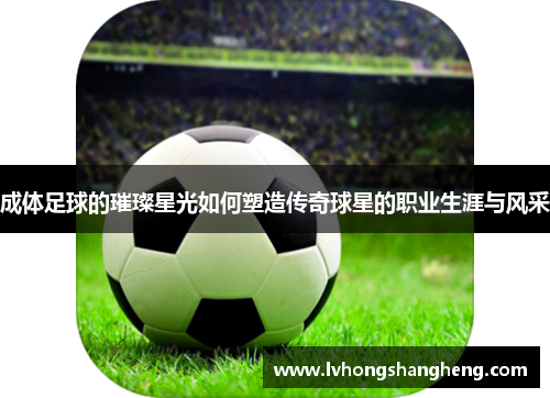 成体足球的璀璨星光如何塑造传奇球星的职业生涯与风采